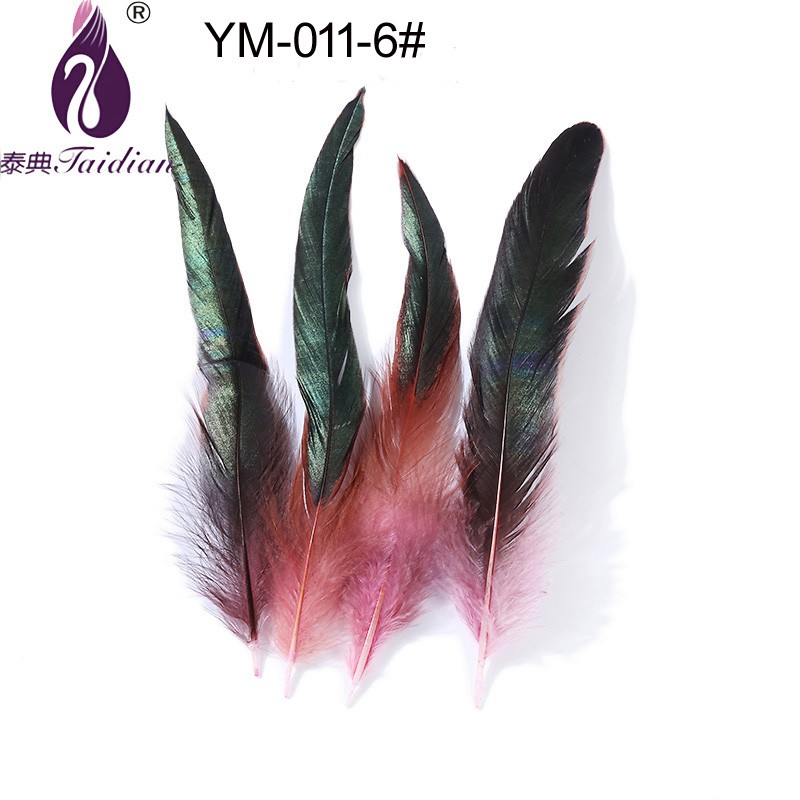 Natural rooster feather dyed plumage Ym-011-6#