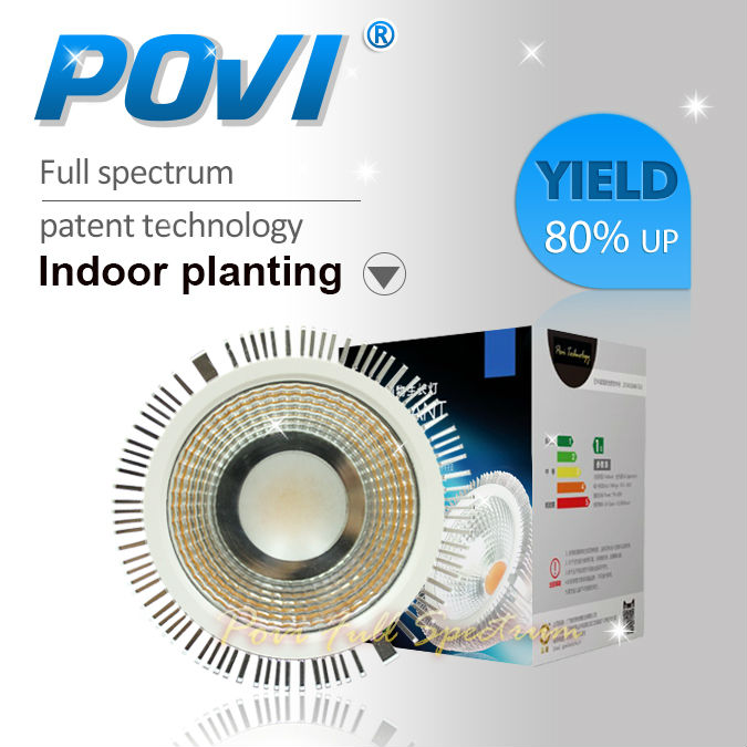 Online Kaufen Großhandel hydroponischen garten aus China hydroponischen