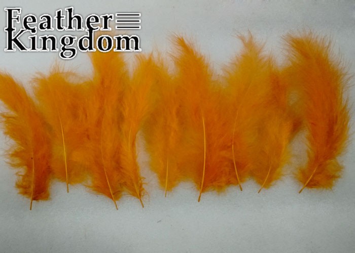 orange Turkey feather