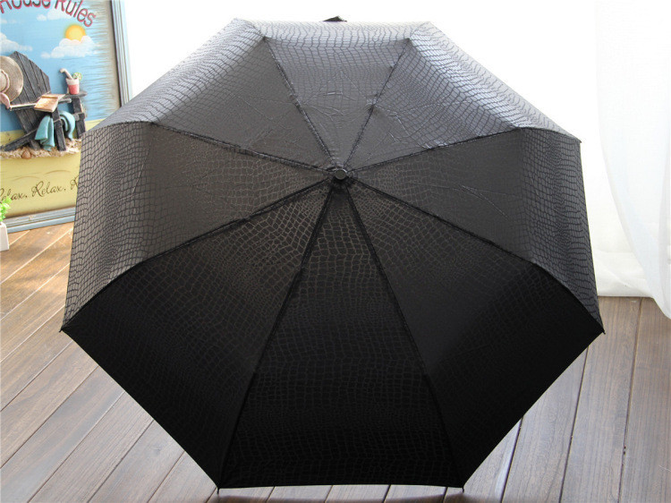 Umbrella paraguas parapluie16.jpg