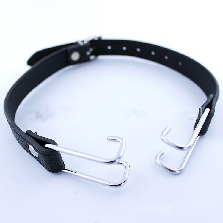 2276731875_716356232