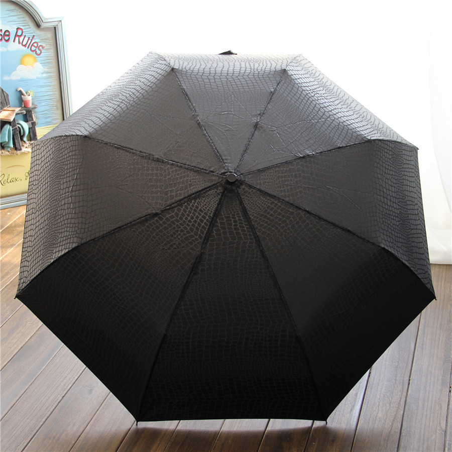 Umbrella paraguas parapluie05.jpg