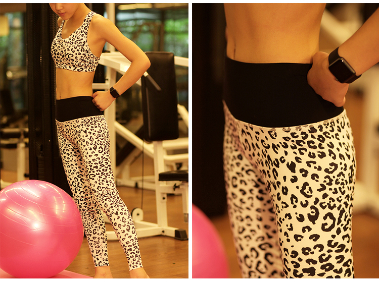 Free Shipping Quick Drying leopard Yoga font b Pants b font font b Women b font