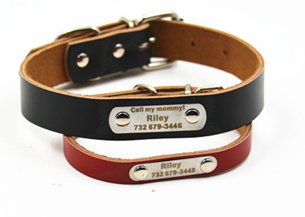 Genunie leather dog collar free engraving DIY dog tag collar pet collar