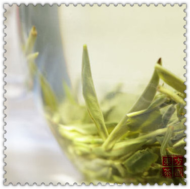 New 2015 Spring Biluochun Tea Green Bi Luo Chun Premium Spring New Green Tea For Weight