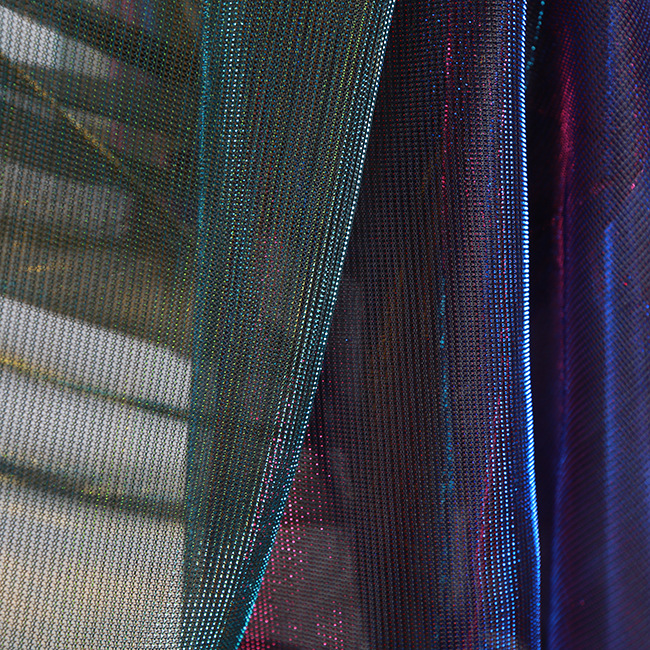 4105822265_886598773