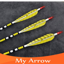 80cm Length 12pcs lot Blue Turkey Feather Carbon Arrows With Iron Arrowhead Shooting Archery Arrows For