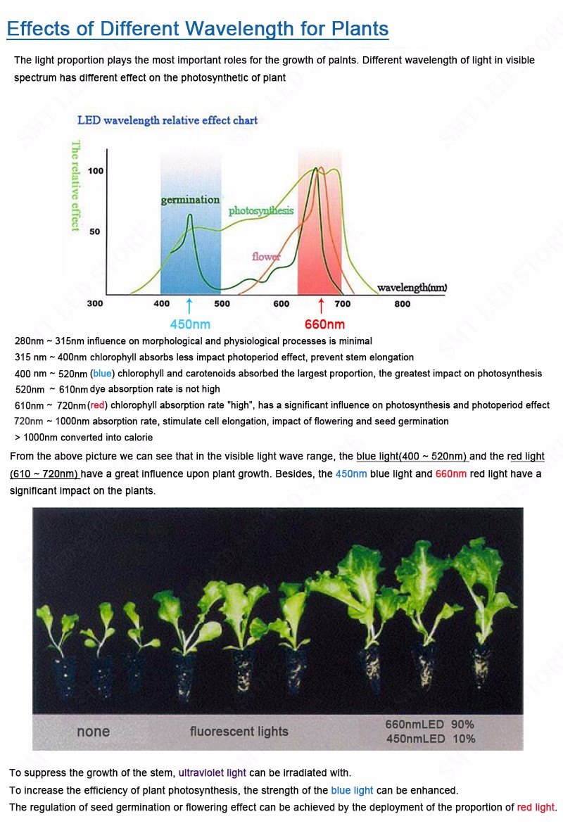 Description Picture 3 of itemPhyto Lamp Full Spectrum LED Grow Light E27 Plant Lights Fitolamp For Indoor Seedlings Flower Fitolamp Grow Tent GrowBox