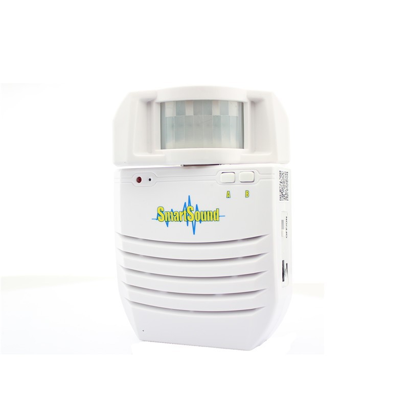 motion sensor audio player-5