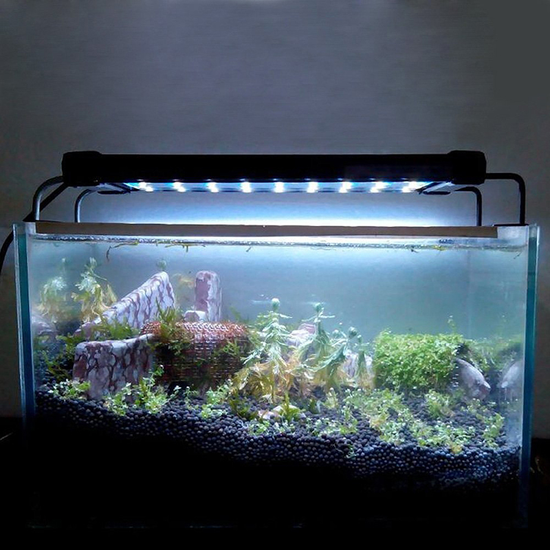           110-220  Fish Tank  // Plug