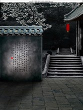Ancient costume studio wedding photography theme background cloth ancient classical background photo background paper 3406