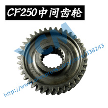 CF250 Middle Gear CH250 CN250 ATV 172MM Intermediate Gear CF 250cc Water Cooled Scooter Engine Parts Wholesale CFMOTO