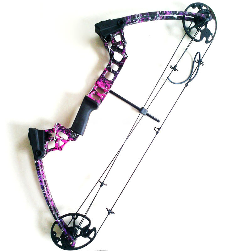 Purple Camo version bow and arrow archery set Hunting bow arrows set with excellent design compound