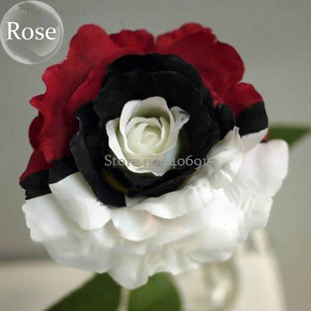 Heirloom Rare White Black Red Tri-color Rose with white eye, 50 Seeds, attract the butterfly add interest light up garden E3603