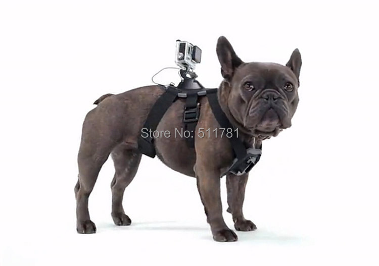 Dog harness 6.jpg