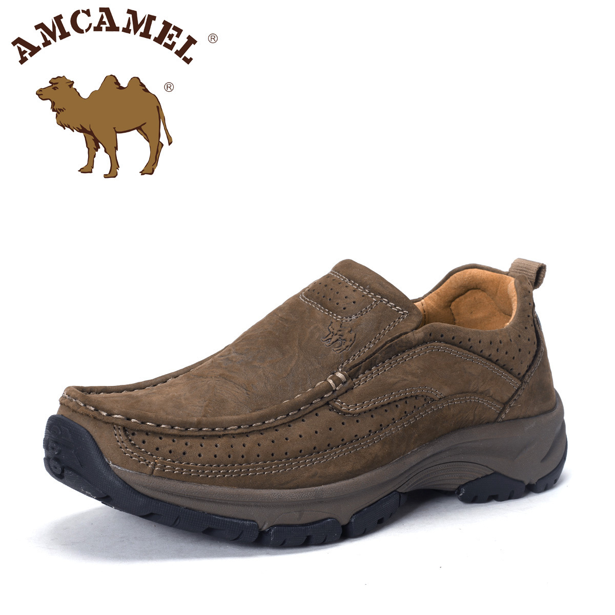 Amcamel camel           h2308001