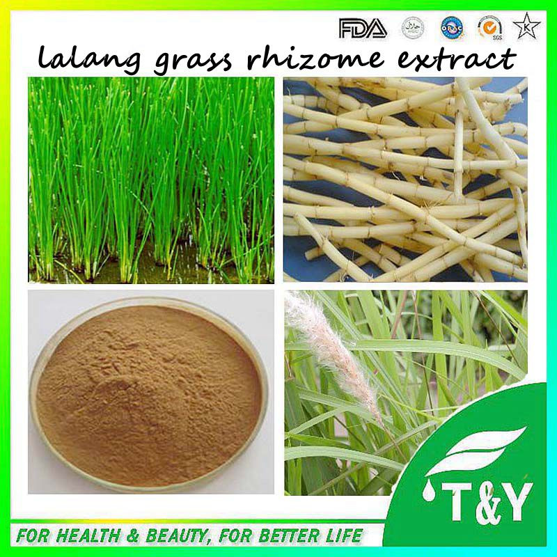 Lalang Grass Rhizome Extract,Best price Lalang Grass Rhizome Extract powder