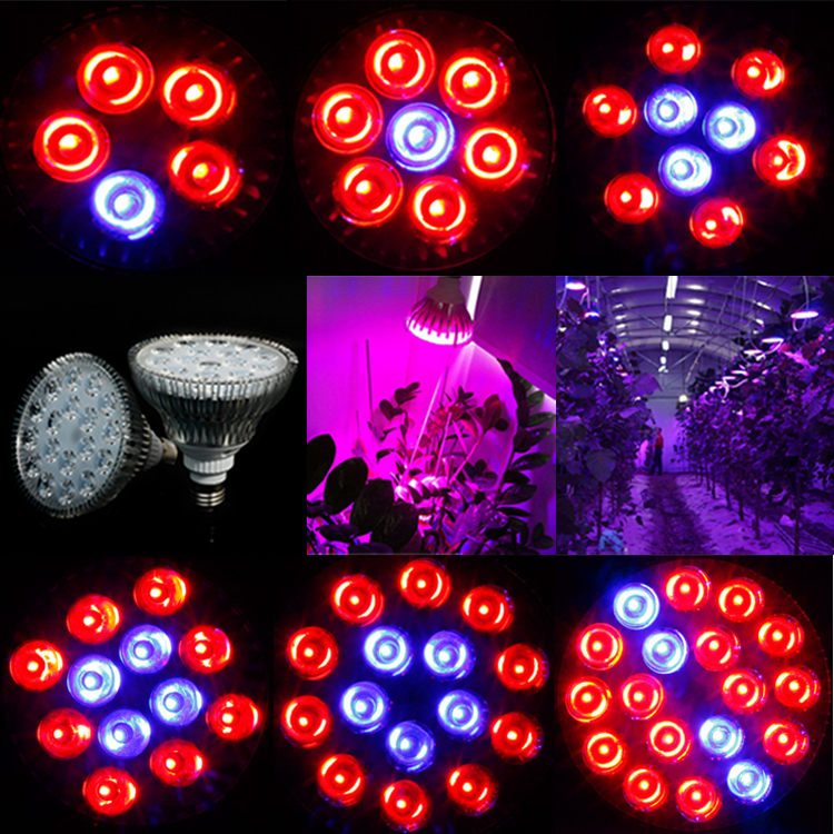 AC85-265V 15W/21W/27W/36W/45W/54W Aluminum E27 Led Grow Light Red&Blue color Lamp For Plants Vegs Hydroponic System Grow/Bloom