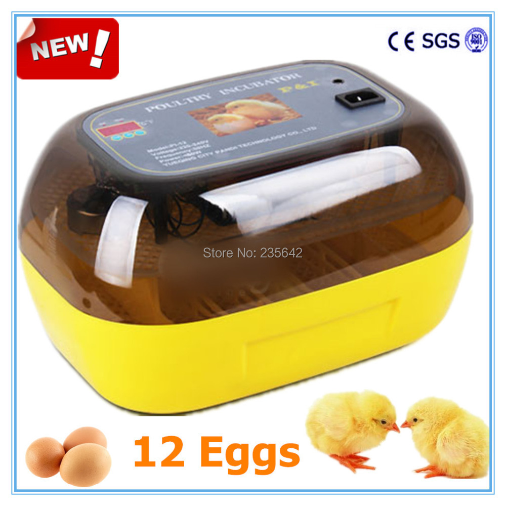 12 Eggs incubator chicken egg incubator cheap pricein Egg Incubators