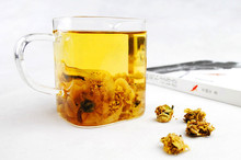 New Product Flowers And Plants In Puer Tea Snow Mountain Ancient Tree Camellia Pure And Fresh