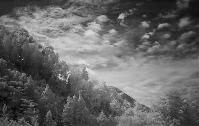 IR FILTER PICTURE