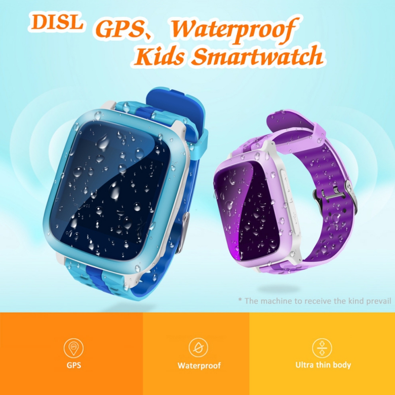 ds18 watch