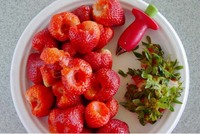 2015 Kitchenware Tomato Stalks Fruit Strawberry Knife Stem Remover Strawberry Slicer Strawberry Huller 1PCS