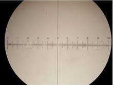 Envío gratis! venta al por mayor de la alta calidad Dia24 mm ocular retícula, medición de vidrio o micrómetro para microscopios