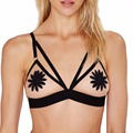 Sexy Lingerie Bra Bralette Top See Through Lace Mesh Underwear Bikini Bra Embroidered Flower Cover Point