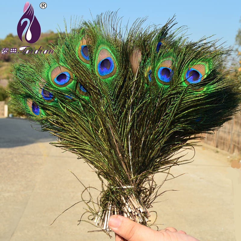 Peacock Eyes Feather Fringe Peacock Tail Peacock Feather Flue Fringe Feather Decorative Feathers Cheap feathers Natural Feather Wedding fenthers High quality feathers ym-035 hot sale green blue