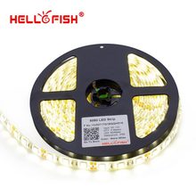 5m 300LED 5050 SMD IP65 Waterproof  12V flexible light 60led/m LED strip, white/warm white/blue/green/red/yellow