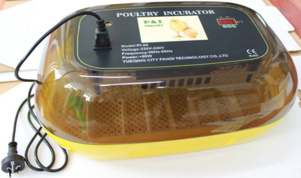 .com : Buy best price transparent used chicken egg incubator for sale 