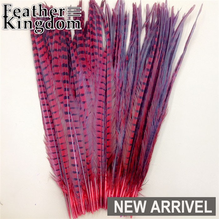 red ringneck pheasant feathers