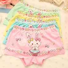 Free shipping 6pcs/lot Girls cotton Underwear Briefs /Panties/ inner wears kids girls underwear infant panties girls underwears
