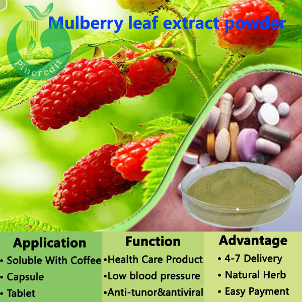 Mulberries Fruit Extract/Mulberry Leaf Extract/Paper Mulberry Extract powder