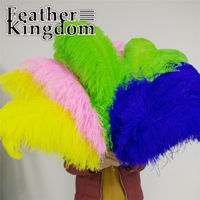 50-55cm colors ostrich feather