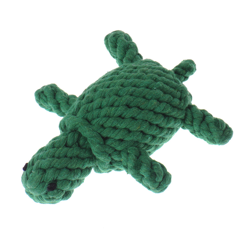 DY389-Turtle (1)