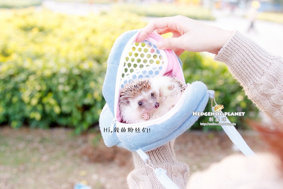 TB2YdYzbFXXXXXWXXXXXXXXXXXX-129774407