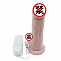 Women Sex Product Big Dildo Waterproof Cock Penis Vibrator Soft Silicone TPE with Textured Shaft and