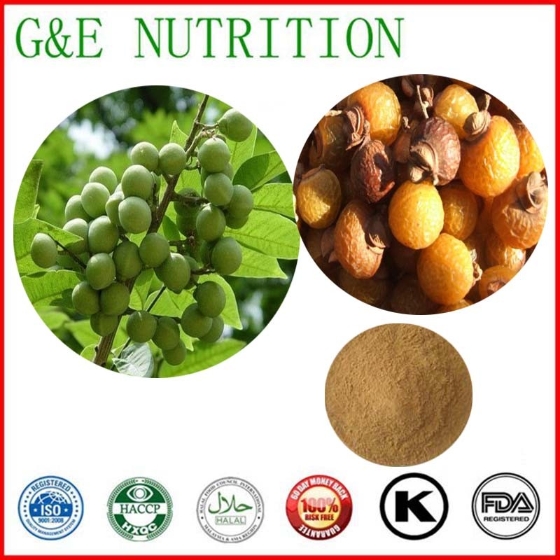 500g Natural Soapberry/ sapindus/ sapindus mukorossi Gaertn Extract with free shipping