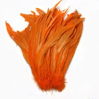 orange rooster feathers
