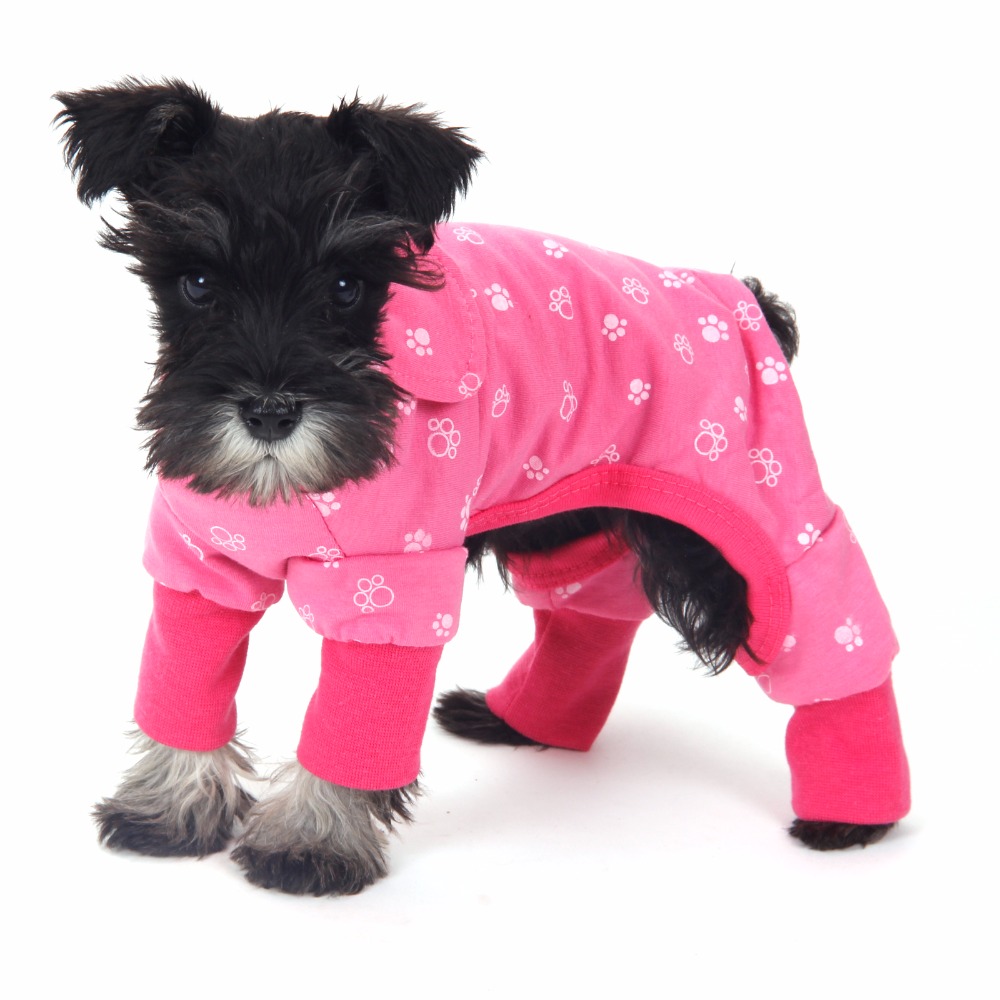 Small Dog Clothing Boutique Small Dog Clothing Boutique