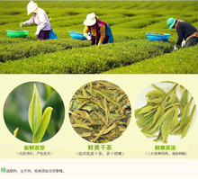 250g Organic Chinese Green Tea Long jing new the Chinese green Longjing tea the China green