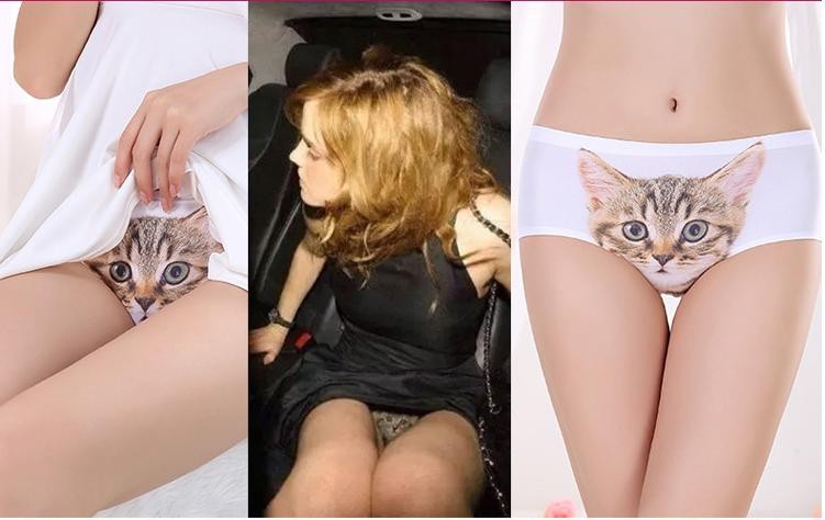2016 3D Printed Sexy Pussy Cat Panties Pink Womens Bragas Calcinha