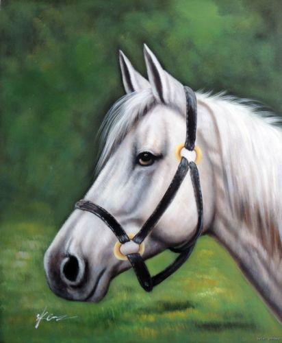 ¡¡¡  LA ELEGANCIA Y HERMOSURA !!! - Página 18 Blanco-retrato-del-caballo-equina-Animal-Art-estirada-20-X-24-petróleo-en-la-lona-pintura