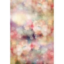 Free shipping 5x7ft vinyl non-washable backdrop backgrounds for photo studio children shooting Computer Painted Backdrops P0849