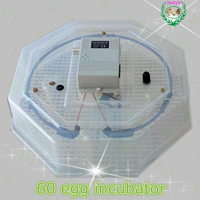  -Certificate-Mini-chicken-egg-incubator-60-eggs-incubator-brooder.jpg