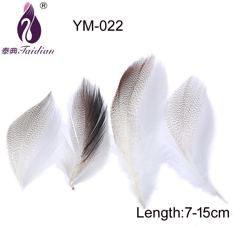 YM-022 Natural Feather pheasant white 7-15cm length chicken plumes hot sale high quality
