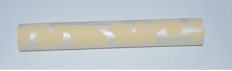 HTB1eX_ZLpXXXXc3XXXXq6xXFXXXA