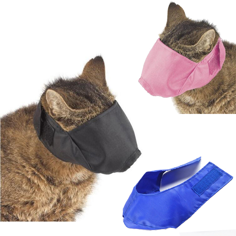 cat muzzle ball